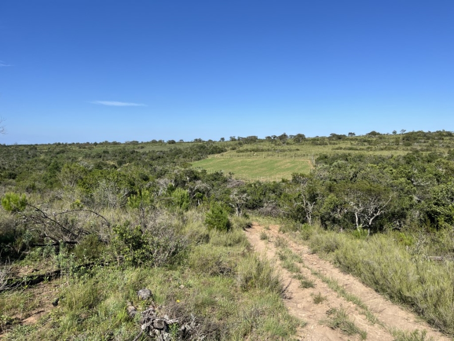 Commercial Property for Sale in Bathurst Rural Eastern Cape